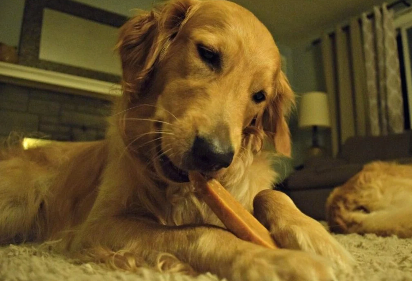 Peanut Butter Flavor Gold Yak Chews for Large