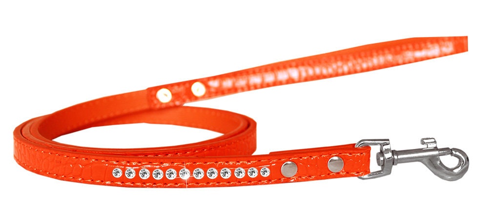 Designer Croc Leash