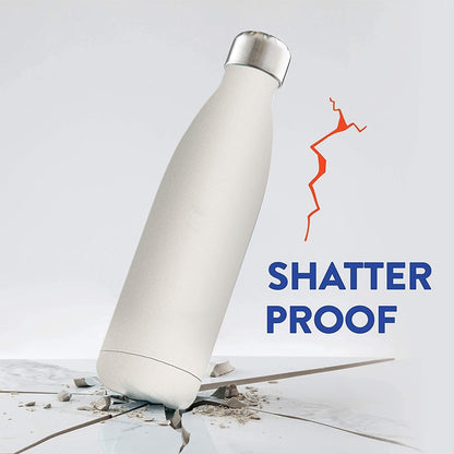 Boss 17oz Stainless Steel Water Bottle